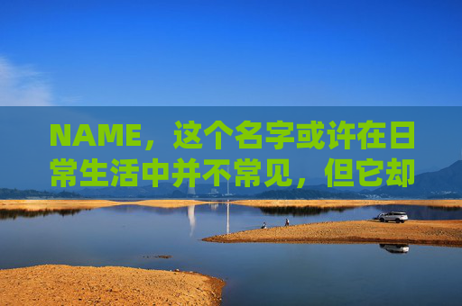 NAME，这个名字或许在日常生活中并不常见，但它却在某些领域里扮演着重要的角色。今天，让我们一起来探索这个名字背后的故事和意义