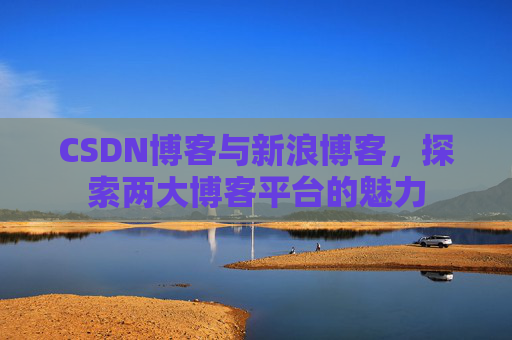 CSDN博客与新浪博客，探索两大博客平台的魅力